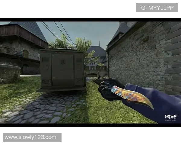 CSGO战术解析IG战队边路渗透体系的深度剖析与实战应用 CSGO战术解析IG战队边路渗透体系的深度剖析与实战应用