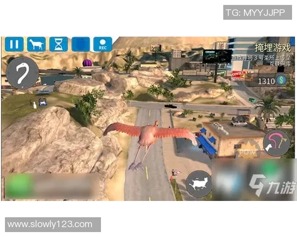 周强独家分享和平精英游戏技巧与心得体会助你轻松上分