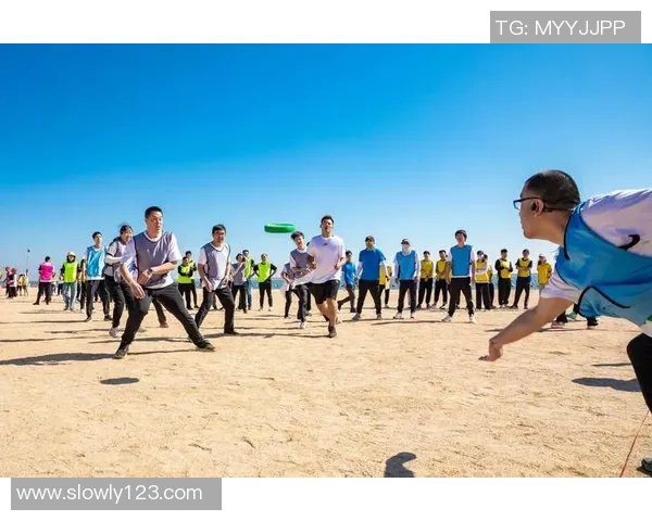 上海飞盘队在极限运动会中的团队协作表现分析与点评