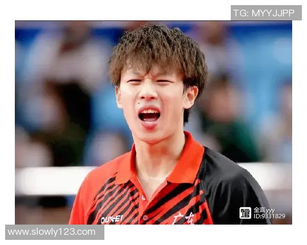 广州乒乓球队技术对比深度解析与发展趋势探讨